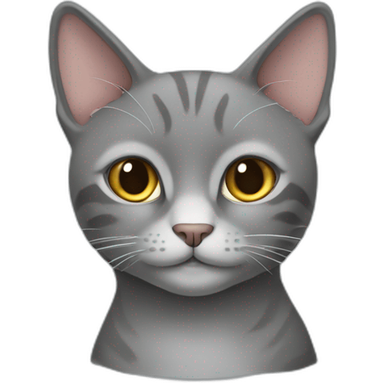 grey cat, named Archi emoji