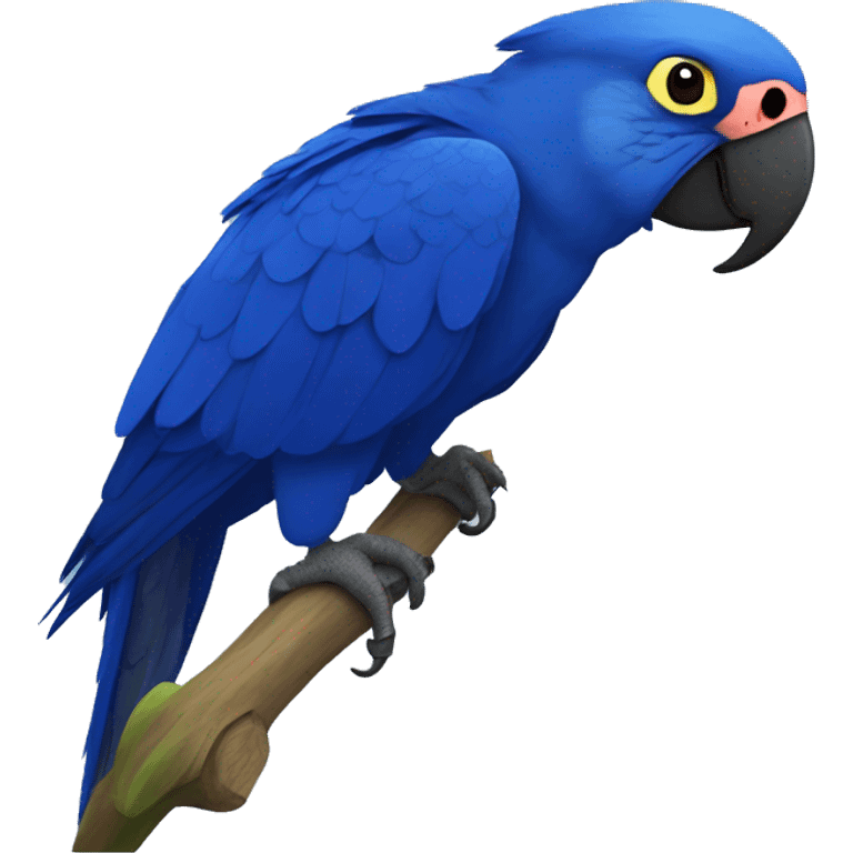 Hyacinth macaw emoji