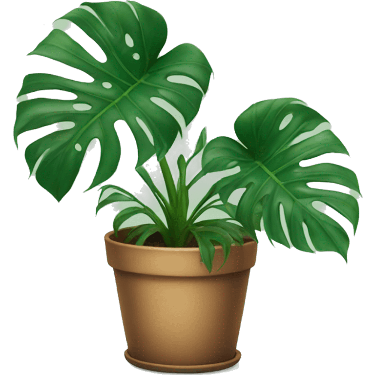 Monstera ( no pot ) emoji