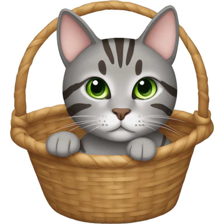 Gray and brown tabby cat with green eyes sitting in a basket emoji