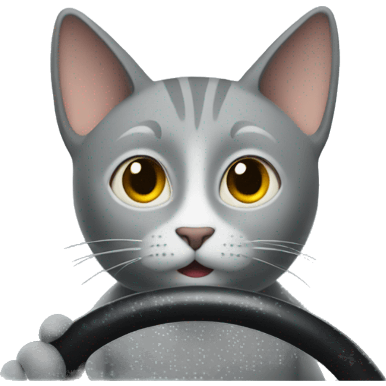 Grey cat driving a bus emoji