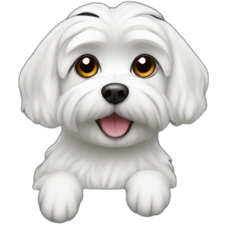 Maltese dog in car driving emoji