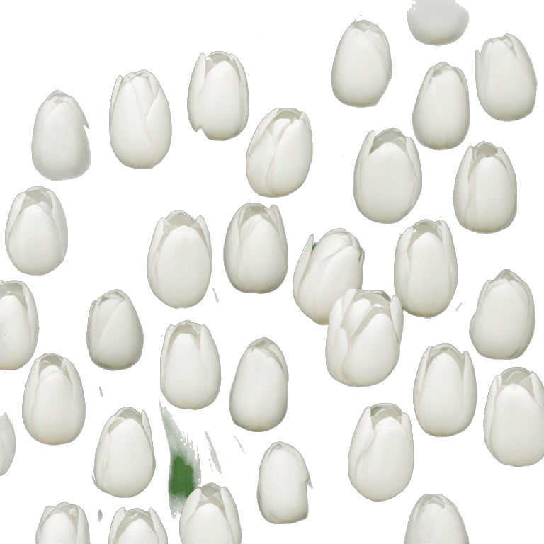 White tulips  emoji