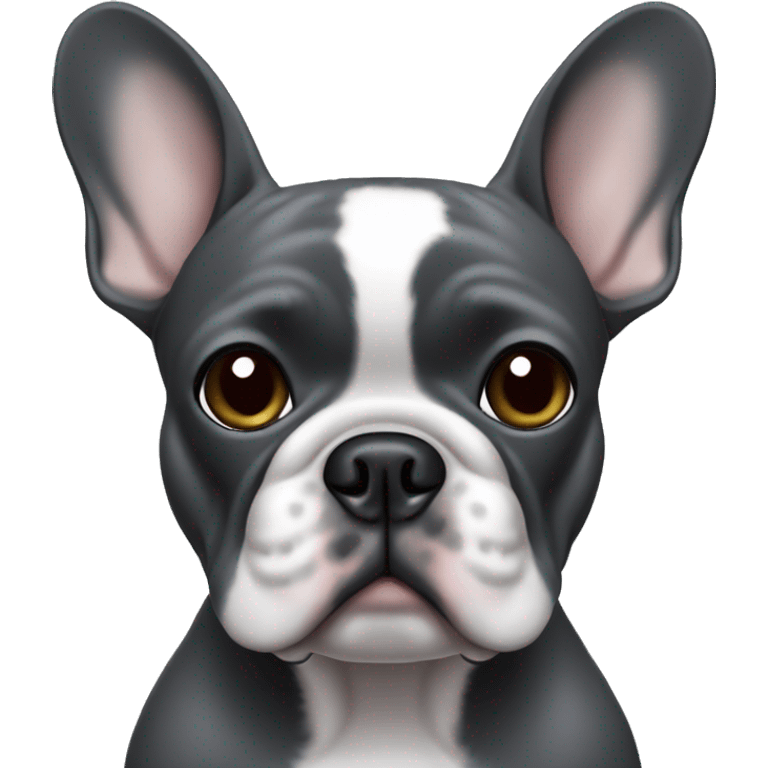 Dark gray french bulldog wearing Airpods  emoji