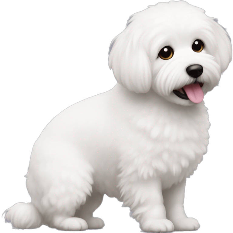 Bishon frise playing with a ball emoji