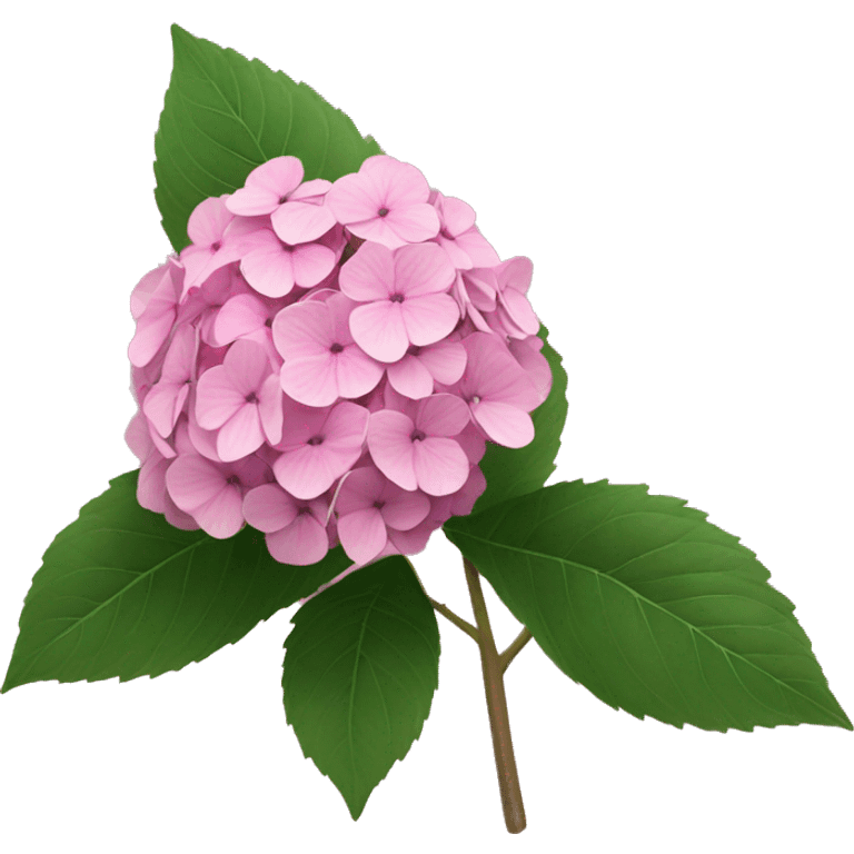 Pink hydrangea emoji