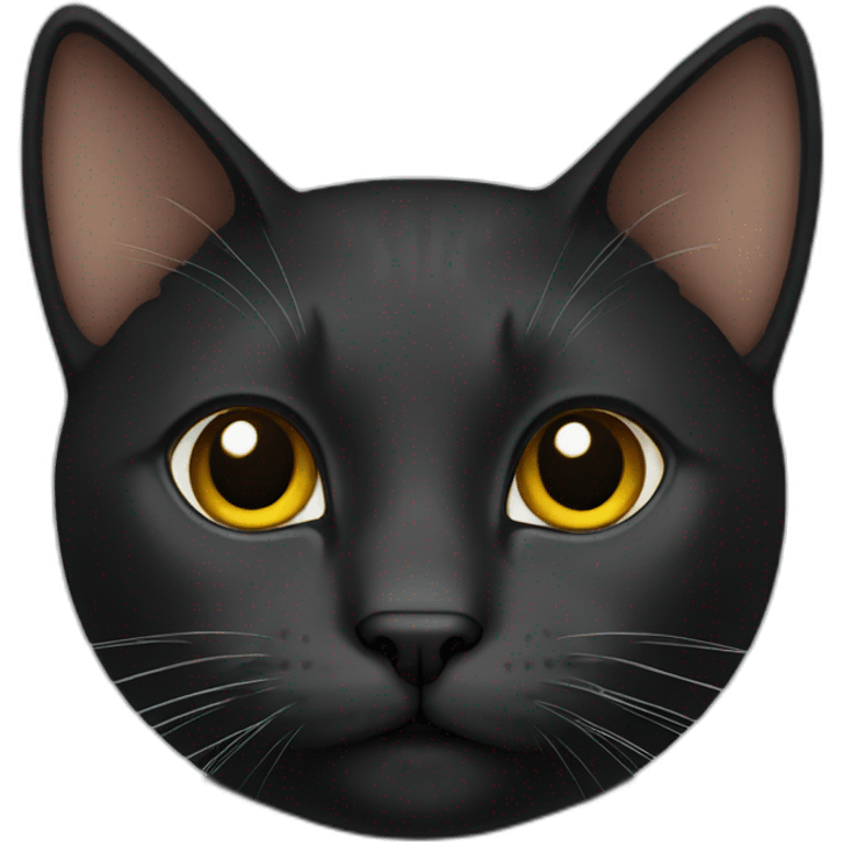 Cat black  emoji