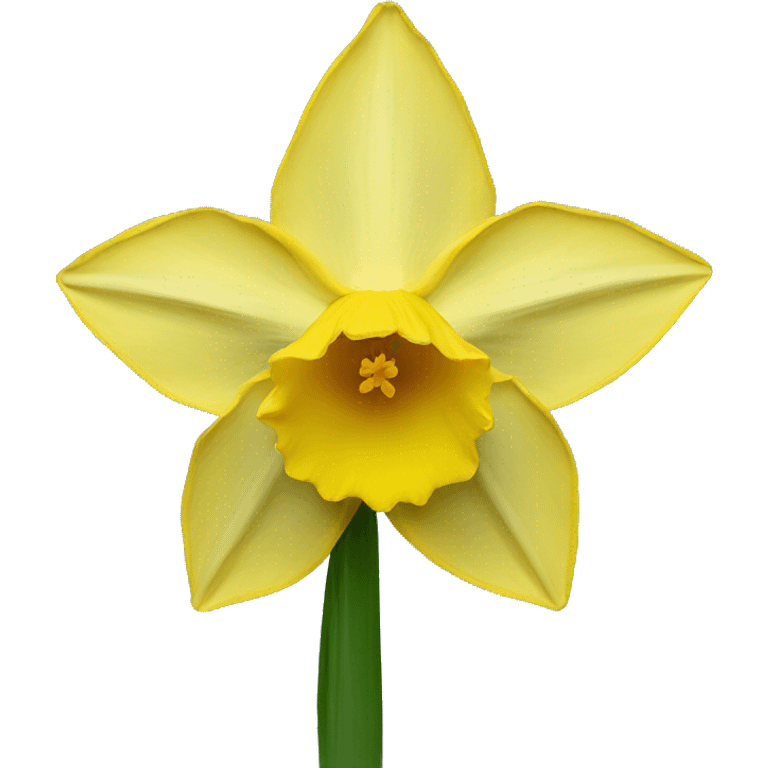 Daffodil emoji