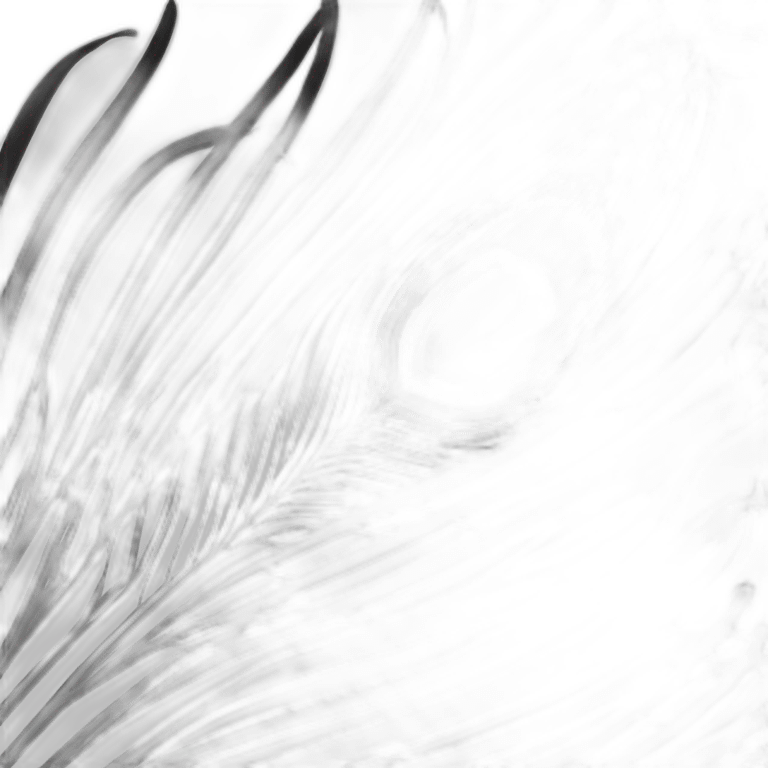 peacock feather black and white  emoji