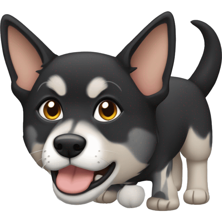 Black adult shepard dog with grey tabby cat  emoji