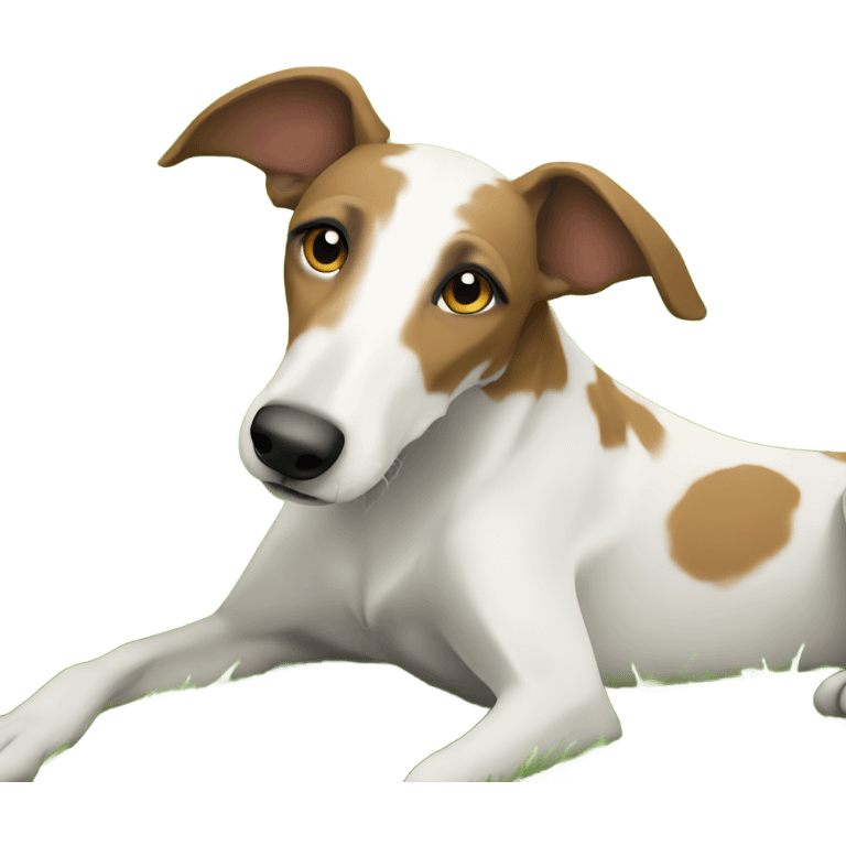 White and brown lurcher lounging on grass outdoors emoji