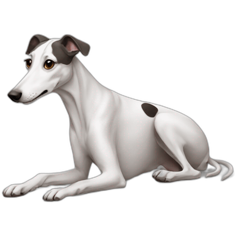 Dog galgo white emoji