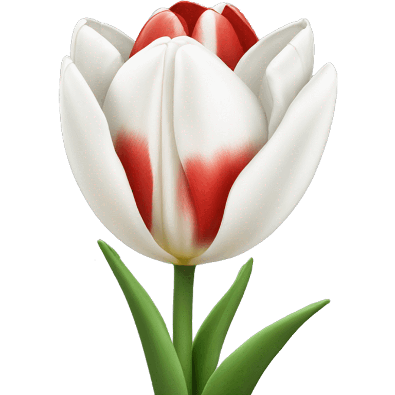 White and red tulips emoji