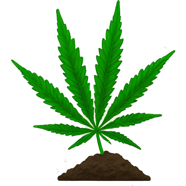 Cannabis plant emoji