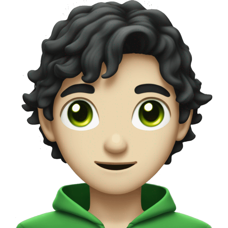 teenage white-skinned wizard with black hair and green eyes in green disgue emoji