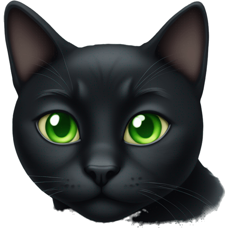 Fat black cat with green eyes  emoji