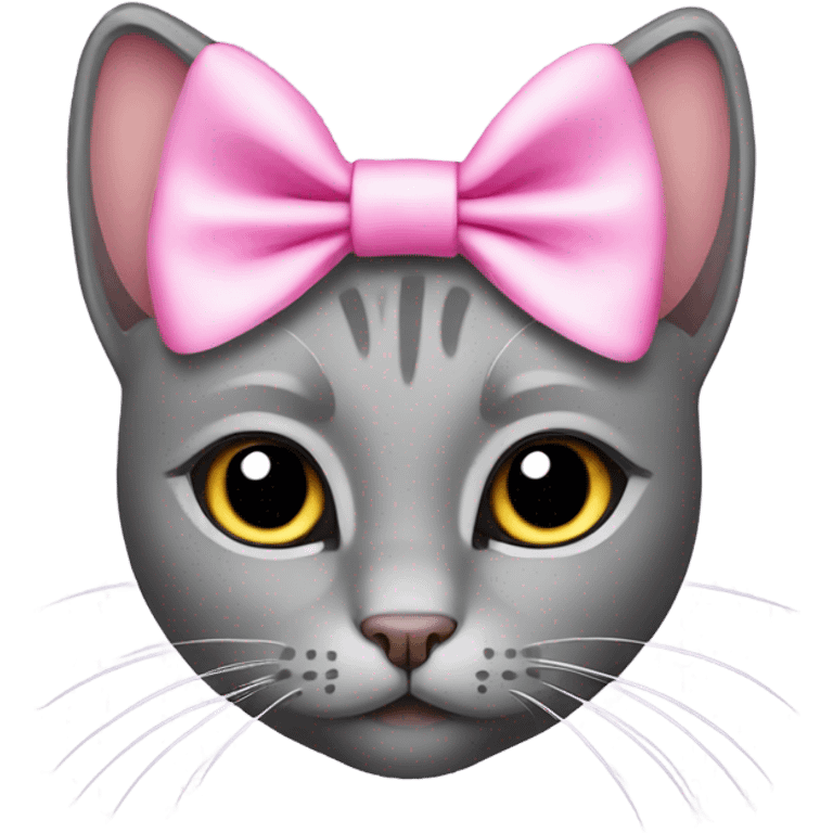 grey cat with pink bow on head emoji