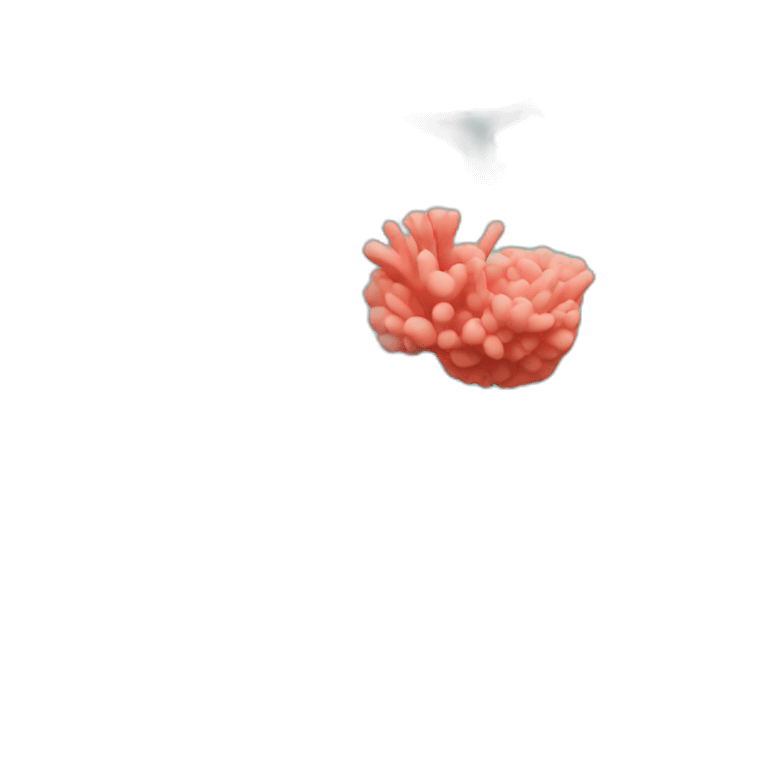 Coral emoji