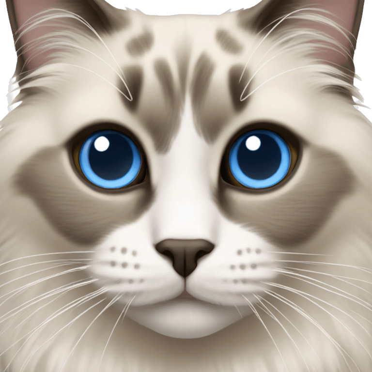 Ragdoll cat with blue eyes emoji