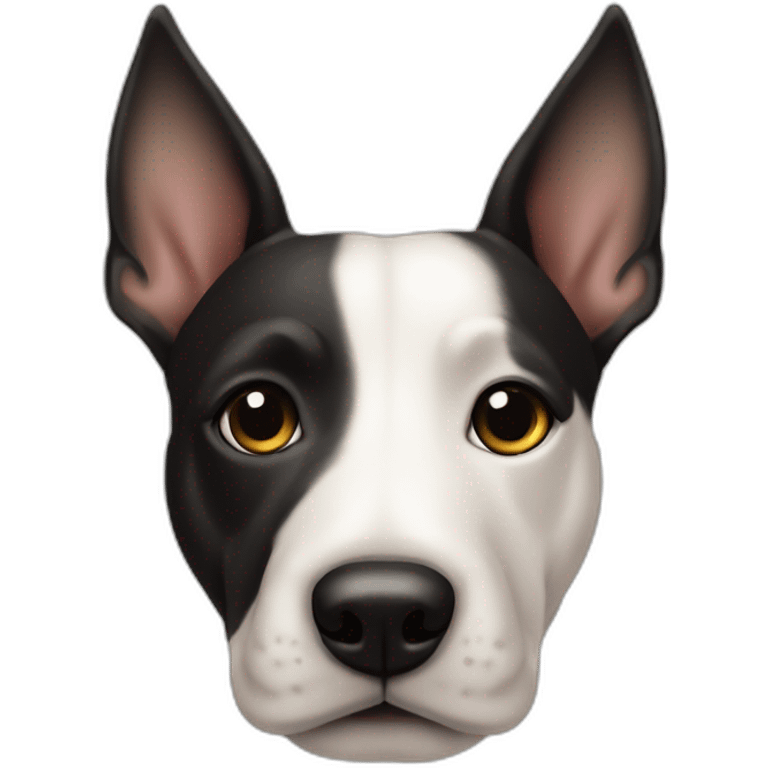 chien-bull-terrier-avec-une-tache-noire-sur-l-'-oeil- emoji