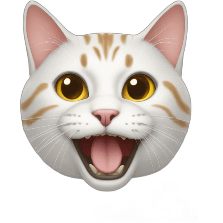 insane cat emoji