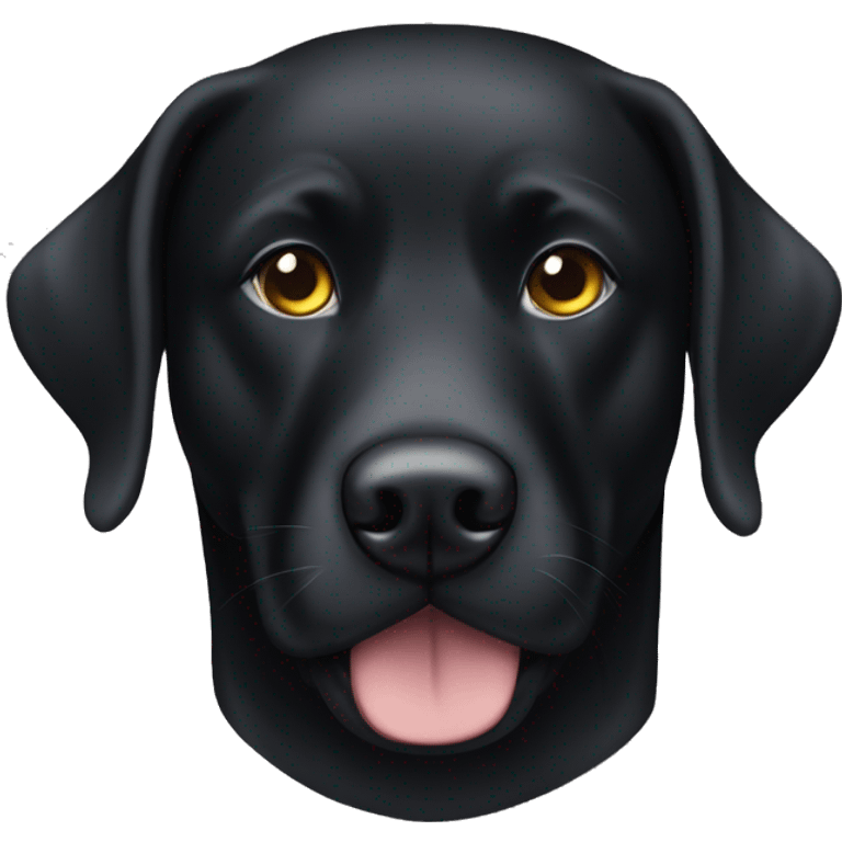 Black Lab wearing spy/thief eye mask emoji