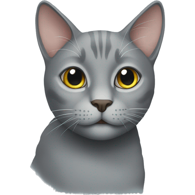 Grey cat emoji