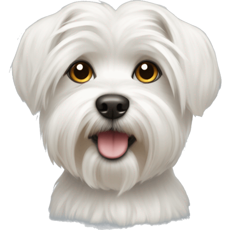 Maltese terrier emoji