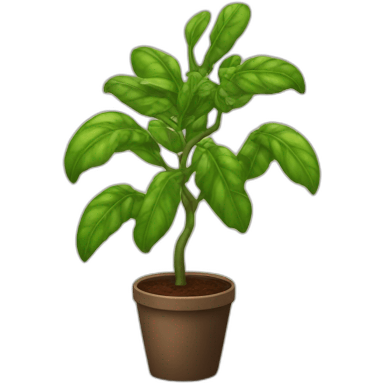 Coffee-plant-sim emoji