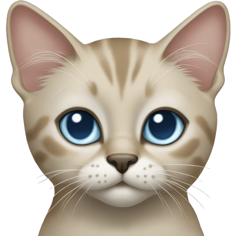 Thai breed cat with a light cream-brown body, dark gray nose and face, ears, and paws. sharp ears, and striking light blue eyes  emoji