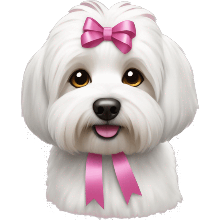 short haired Coton de Tulear dog with brown and grey mixed ear and pink ribbons emoji