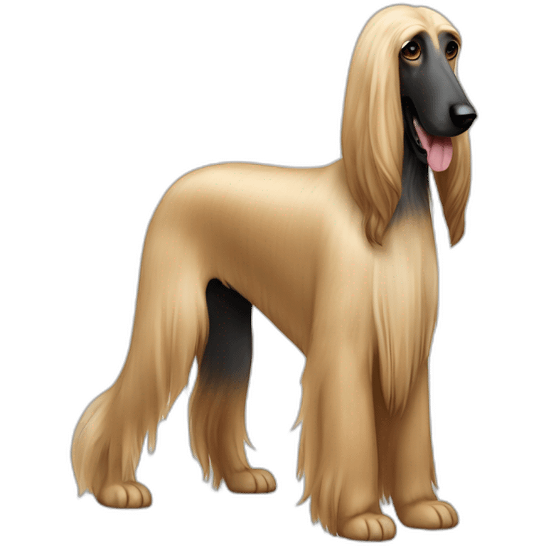 Dog Canine Afghan Hound full-height emoji