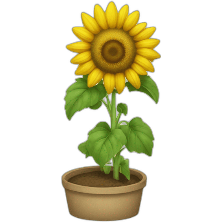 Champs de tournesol emoji