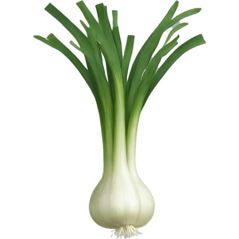 spring onion emoji