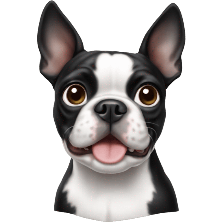 boston terrier emoji