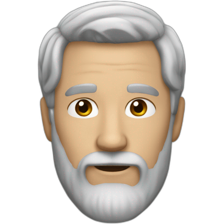 30 years Man with grey hair and black beard  emoji