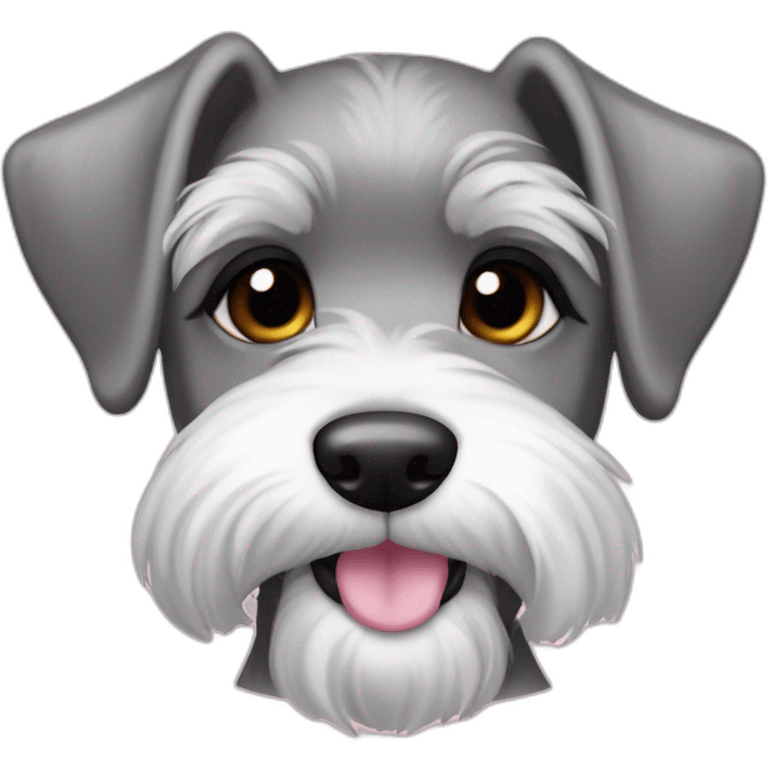 female puppy color "pepper and salt" breed medium Schnauzer with hanging ears hanging ears and a pale pink string around its neck emoji