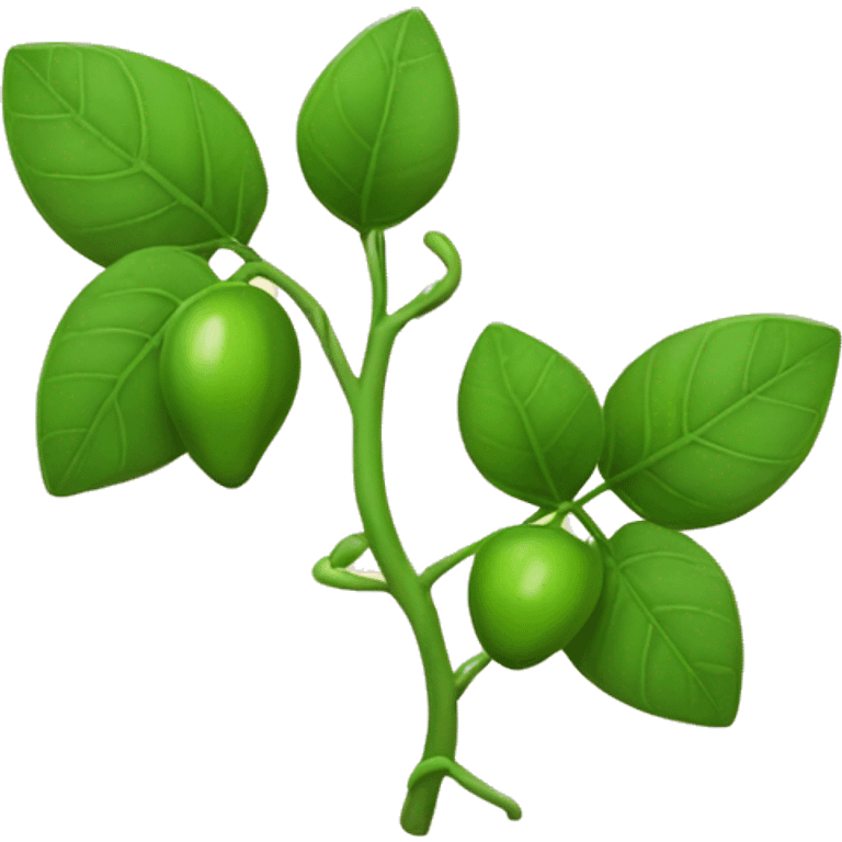 Vine plant without grapes and with leaves emoji