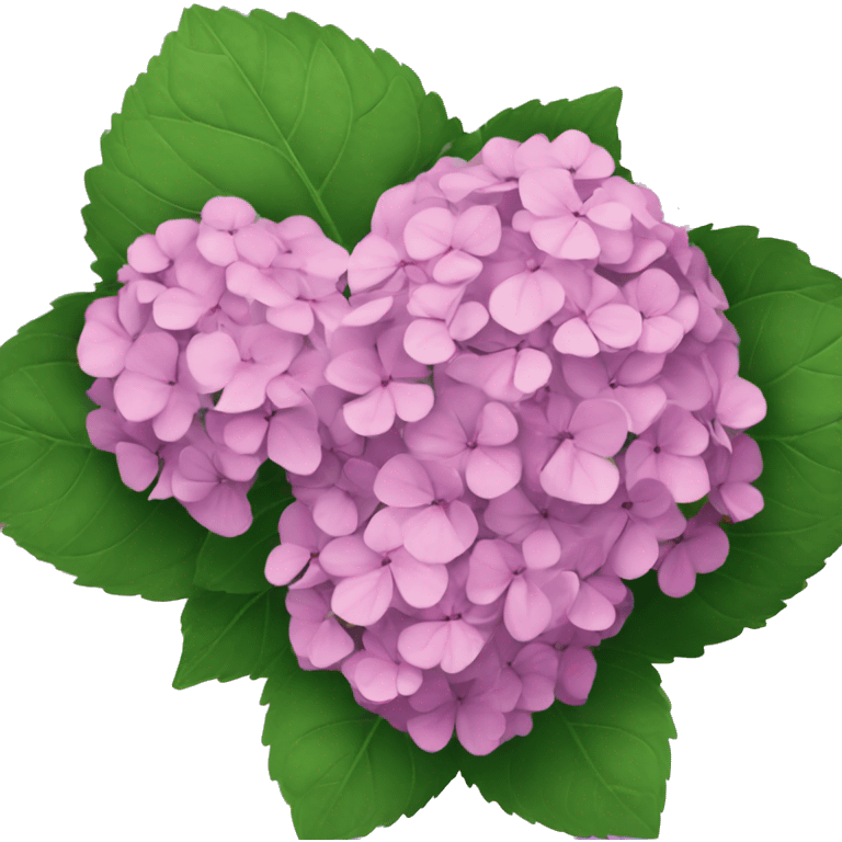 hydrangea emoji