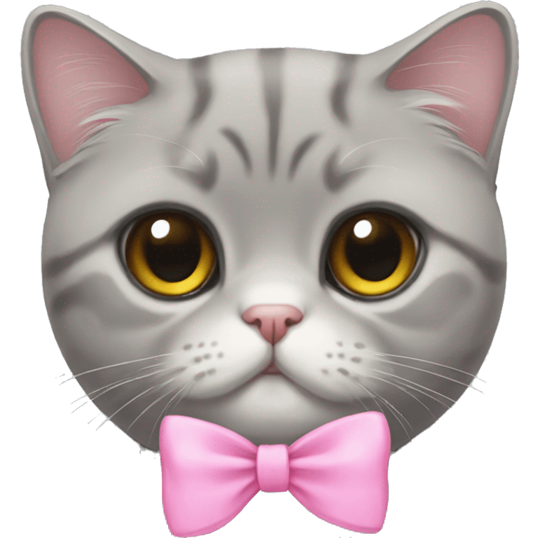 Gray Scottish fold cat with pink bow emoji