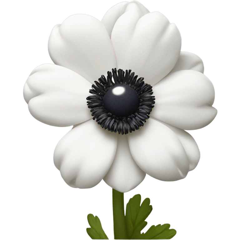 white anemone flower with dark center emoji