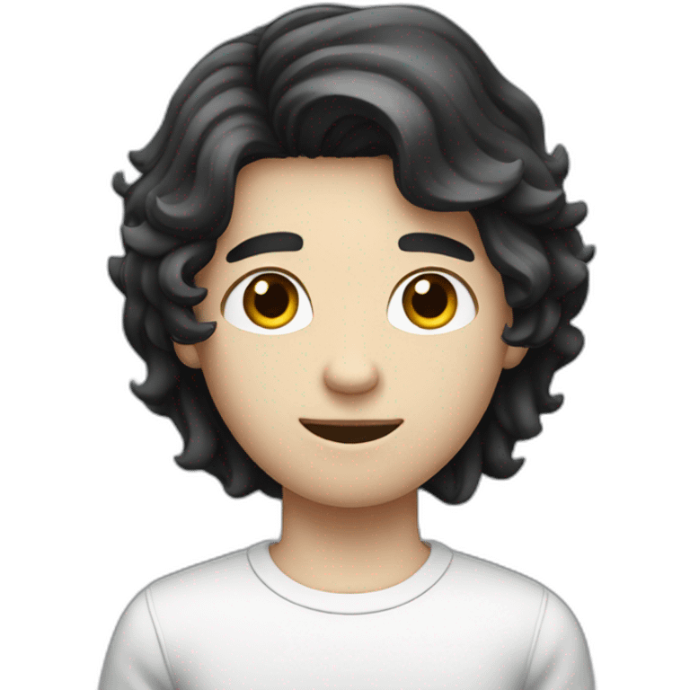 A white-skinned young man holding a computer with black hair emoji