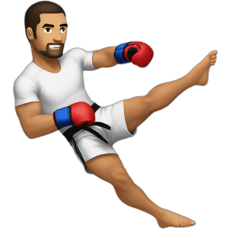 Middle kick mma emoji