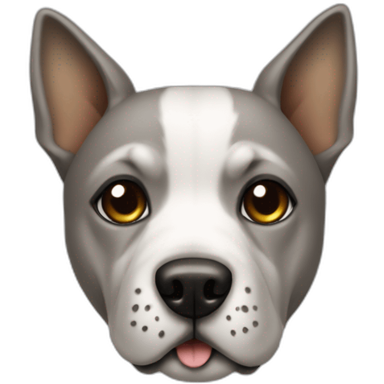 Dog on a lamborgini emoji