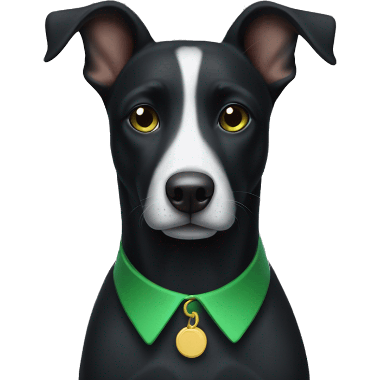 black dog with a white spot on the chest and a green collar emoji