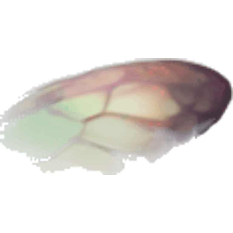 One Rainbow-Diamond-Gem-Butterfly-Crystal-Fly emoji