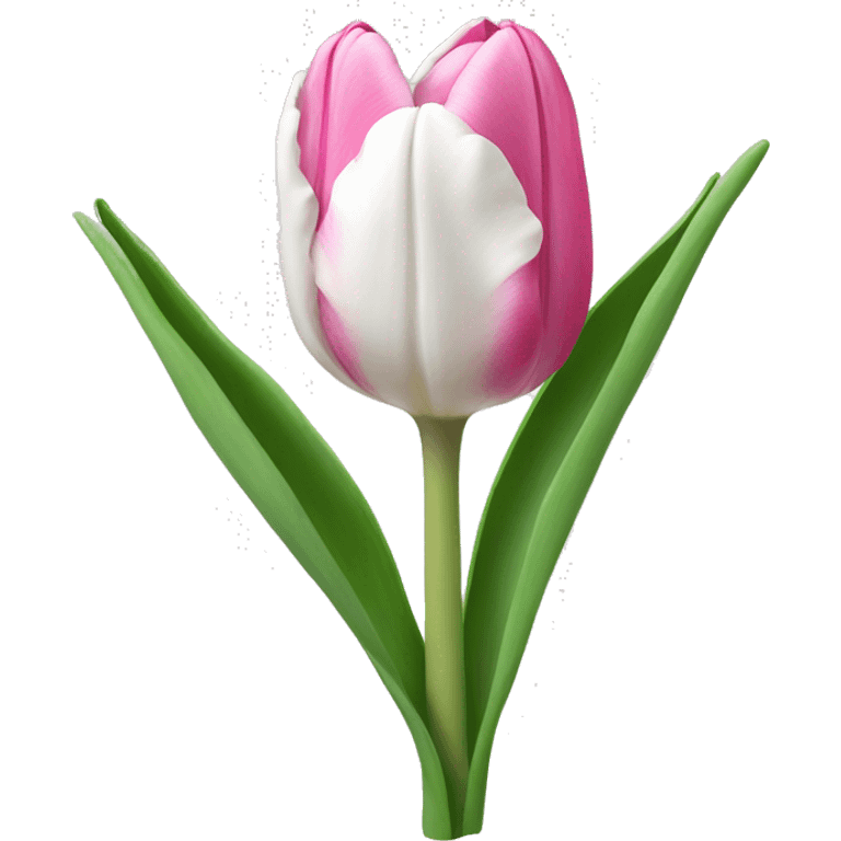 Pink and white tulip emoji