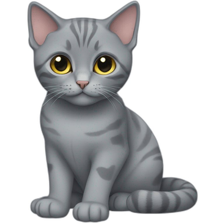 Cat British blue short hair emoji