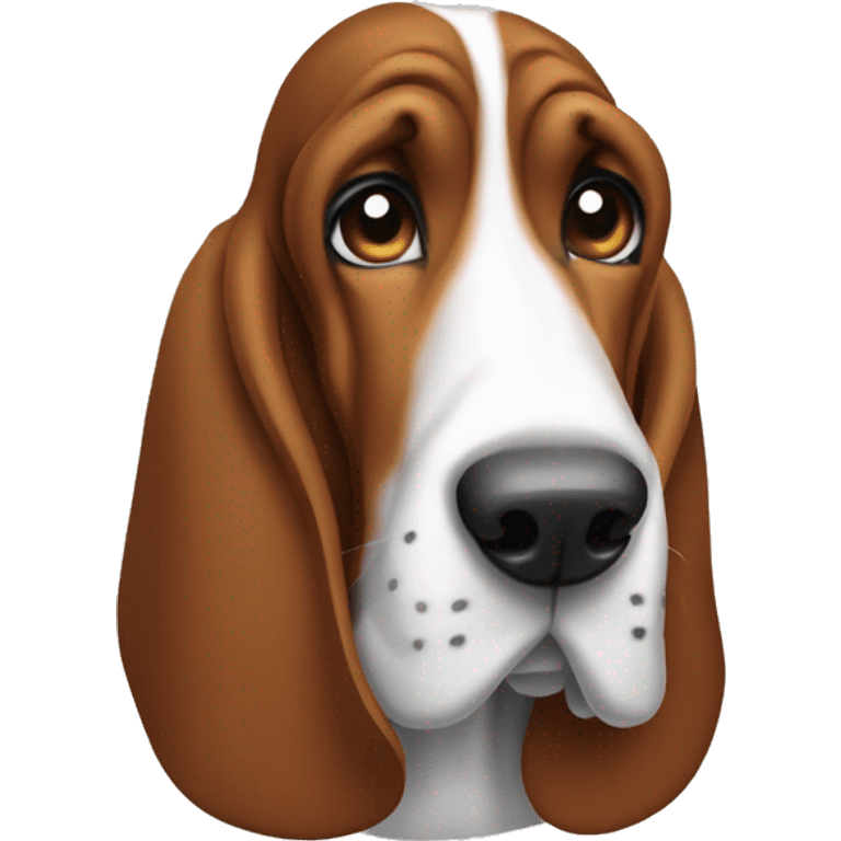 A judgy basset hound emoji