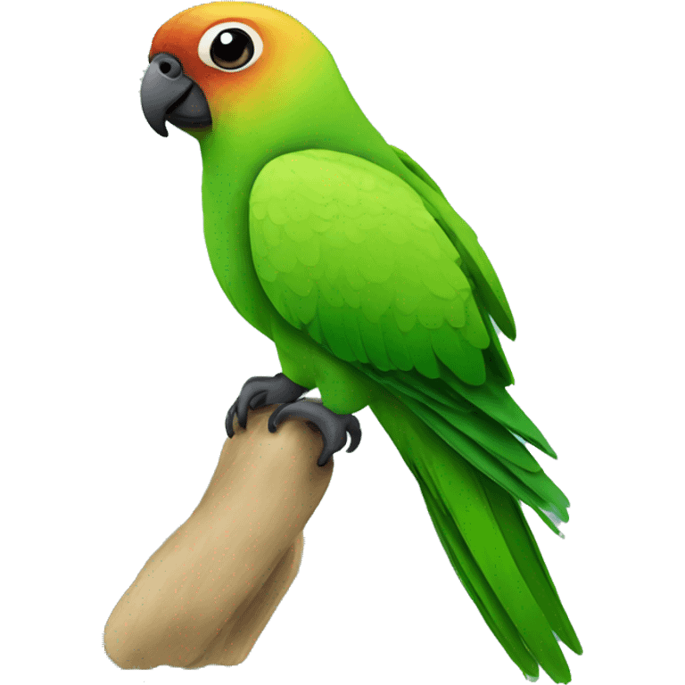  green conure with black head emoji